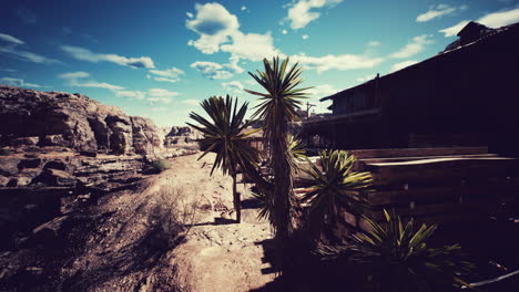 Barren landscape with yucca plants and abandoned structures under a bright sky