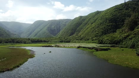toma aérea de la corriente de agua que atraviesa el valle de pololu en hawaii