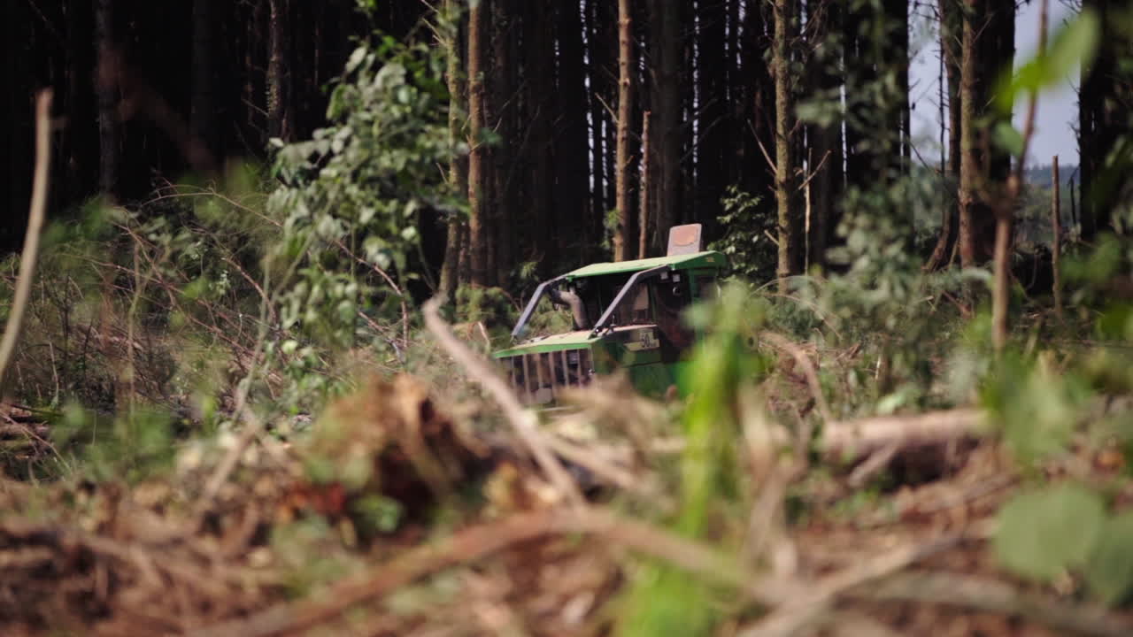 Forest tractor lifting and transporting logs in a reforestation plantation. Heavy machinery working in sustainable forestry operations