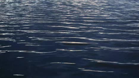 quiet evening next to a blue water bay; dark, calm and cool water radiates peace; ripples reflect grey light. sun has set. footage in hd