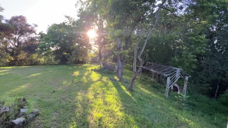 amanecer en la selva tropical de la costa este