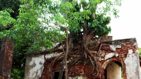 Wunderschöne-Aufnahme-Der-Natur,-Die-Im-Laufe-Der-Zeit-Mit-Einem-Alten,-Verlassenen-Haus-Verschmilzt