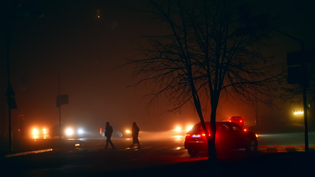 Foggy Night City Street Scene