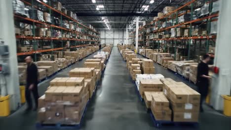 workers navigate through a spacious warehouse filled with neatly stacked boxes. the area showcases systematic inventory placement and orderly workflow during busy hours.