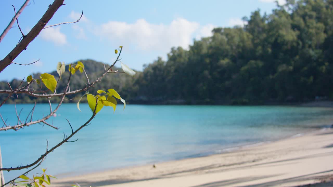 열대 섬 베이 일광의 잔잔한 바다