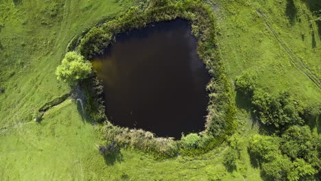 Ascending-shot-starting-at-a-lake-and-revealing-a-beautiful-hillside-in-Romania