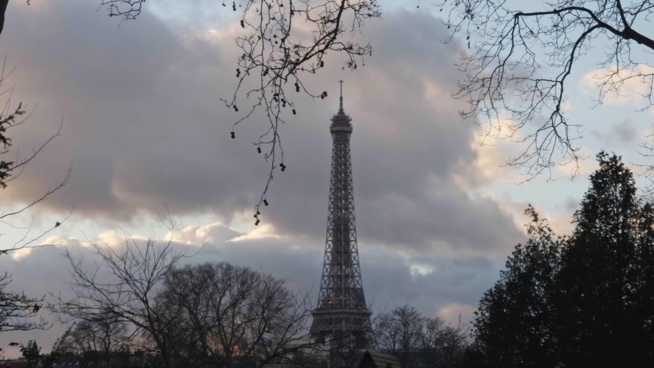 Torre Eiffel enmarcada por árboles en silueta