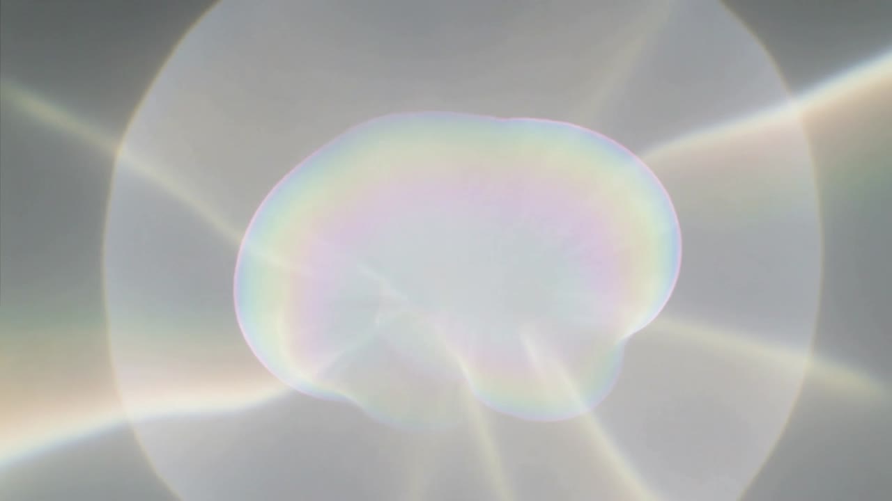 Expanding light responding to beam revealing halo rainbow fringe and filaments in optical field