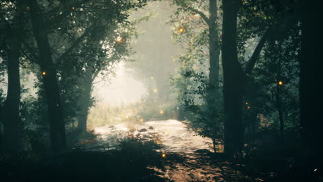 bosque en la niebla de la mañana de otoño