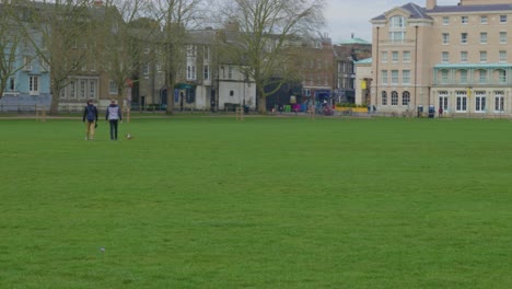 Friends-walk-across-grassy-field-with-dog-by-colorful-homes-on-cloudy-day