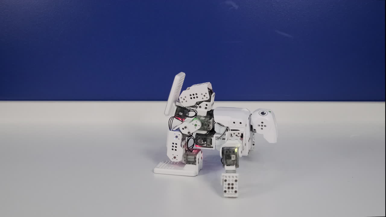 Mini Robot Performing Actions
