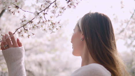 Caucasian-Woman-Touching-And-Smelling-Flowers-Of-Cherry-Blossom-In-Yangjae-Citizen's-Forest-In-Seocho,-Seoul,-South-Korea