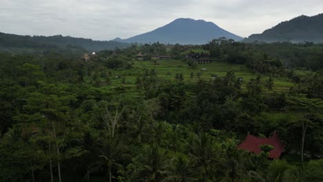 Jungle-scenery-on-a-cloudy-morning-in-the-East-of-Bali,-Indonesia