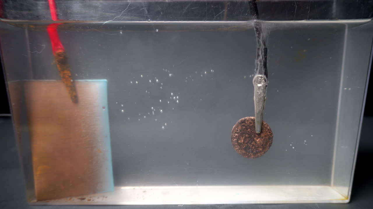 As electrolytic cleaning begins bubbles rise from ancient Roman coin