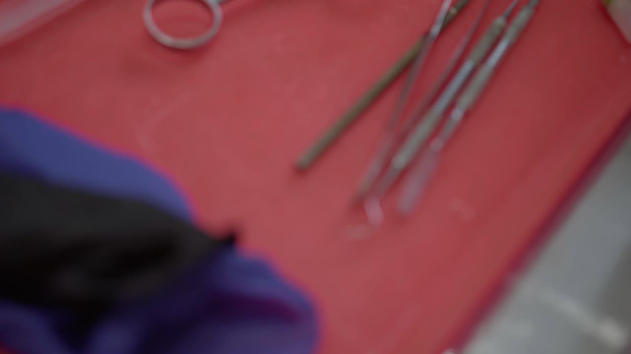Dental tools arranged on a red tray in a clean, clinical setting