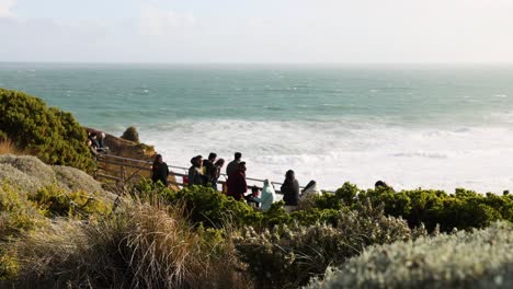 people enjoying scenic view of ocean