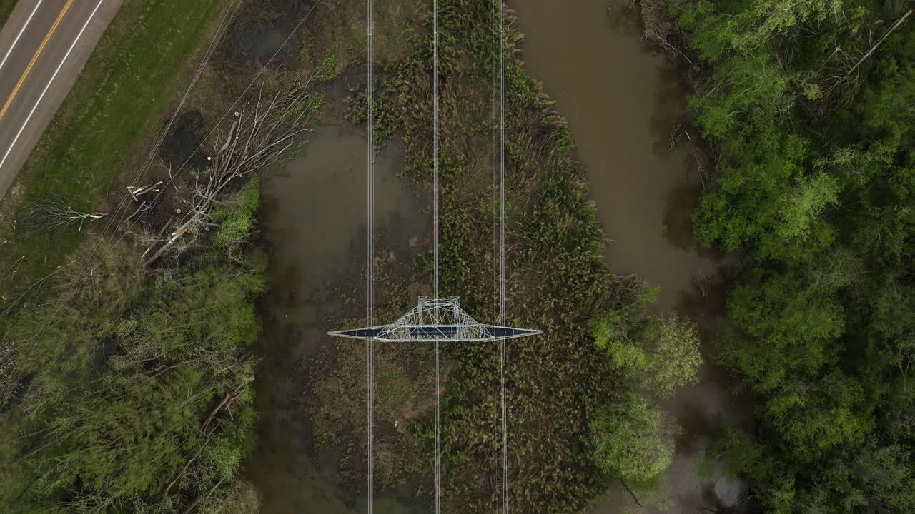 전기 기둥과 윌리엄 b의 숲