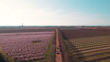 Vista-Aérea:-Autos-Antiguos-Recorriendo-Un-Sendero-Bordeado-De-Flores-Rodeado-De-Huertos,-Pájaros-Volando-Por-Encima,-Revelando-Un-Río