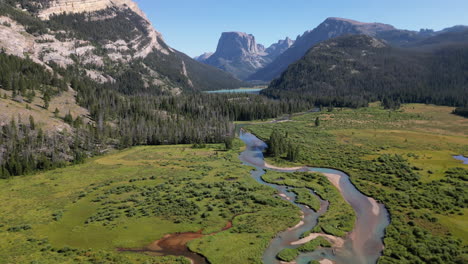 greenery landscape with wetlands in green river lakes park in wyoming