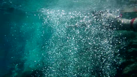 colourful tropical coral reefs