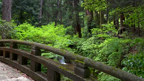 POV-Wanderung-Zum-Wasserfall-über-Eine-Tempelsteinbrücke-Im-üppigen-Wald-In-Japan