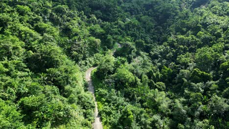 Breathtaking-aerial-drone-shot-of-dirt-path-in-lush-tropical-jungle-during-daytime