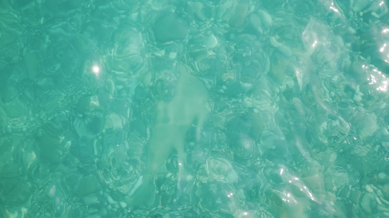 위쪽: 크리스탈처럼 은 바물을 통해 바가에서 다양한 바가 돌을 볼 수 있습니다.