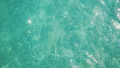 vista de arriba: a través de la agua cristalina del mar se puede ver una variedad de piedras marinas en la costa del mar