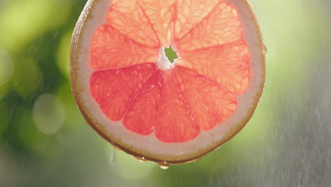 fresh grapefruit slice splashed by water droplet mist in slow motion with bright backlit background