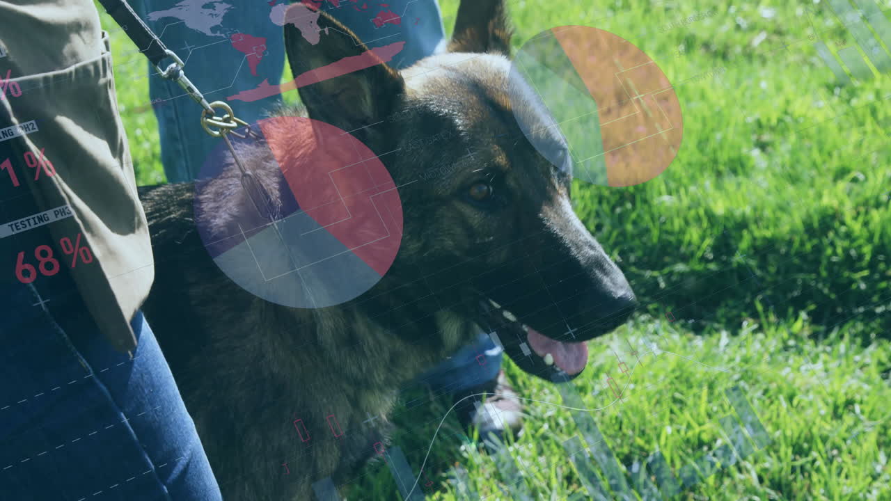 Person walking German Shepherd in grassy park, showing animated heart icon and health chart