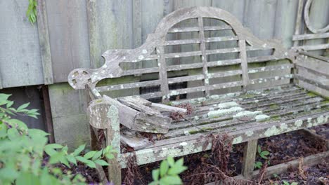 old wooden bench with overgrown elements