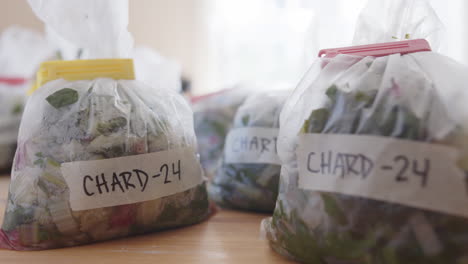 harvested chard packaged in labeled plastic bags for freezing, closeup slider