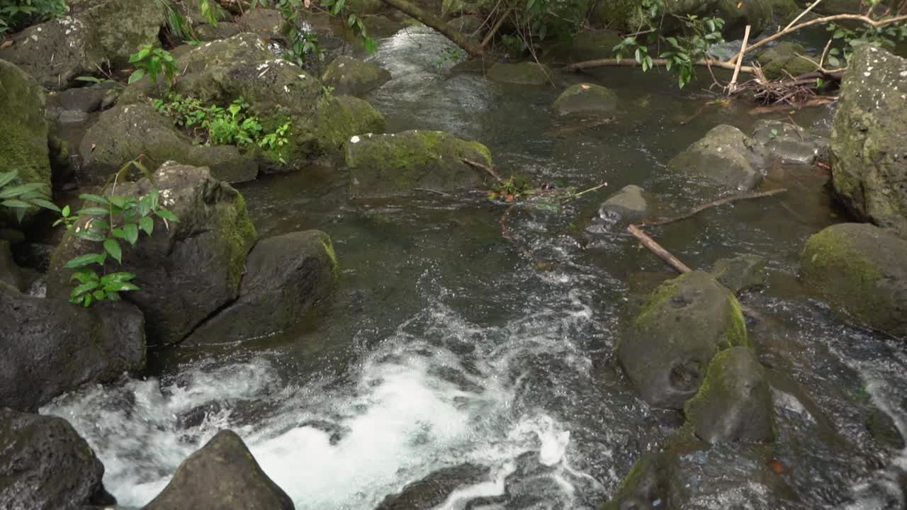 cascada de río en el bosque de mauricio