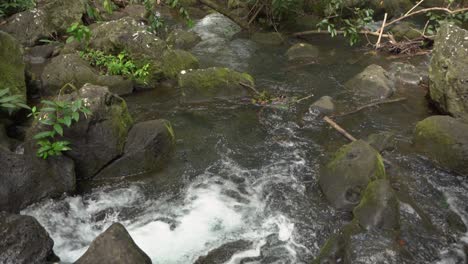 River-waterfall-in-Mauritius-forest