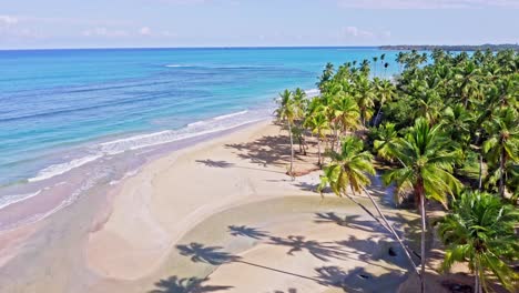 idyllic tropical beach and azure blue ocean at playa coson, las terrenas