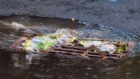 storm drain in heavy rain water flow clogged with leaves, branches and plastic bag environmental hazard flood in the city