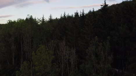 Revelando-Un-Disparo-De-Drone-Desde-Detrás-De-Un-Bosque-Descubriendo-Una-Pequeña-Ciudad-En-El-Alba-De-Suabia-Captando-Los-últimos-Momentos-Soleados-De-Un-Hermoso-Día-De-Verano,-Alemania