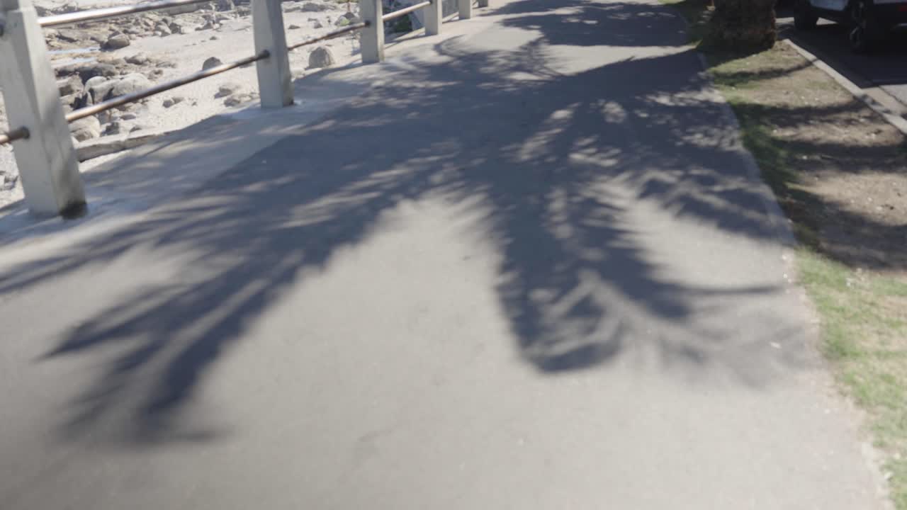 Palm Tree casts beautiful shadows on the floor of a famous holiday destination