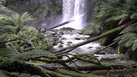 close up of waterfall and rocky river stream amongst rainforest