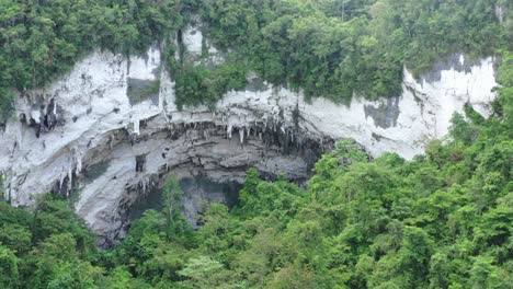 Drone-flying-out-of-cave-into-vegetation-covered-forest-jungle-in-Samar-Philippines