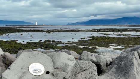 islandia - paseo marítimo guiado: un paseo panorámico a lo largo de la belleza costera de seltjarnarnes