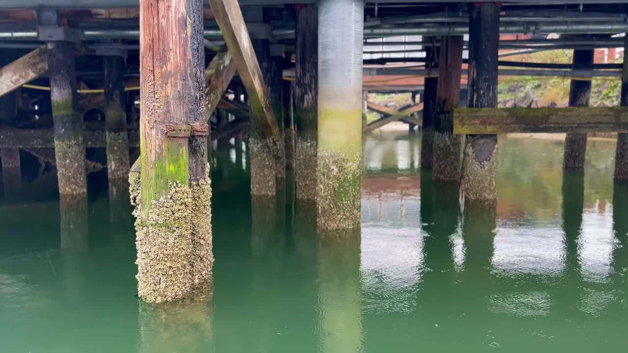 pilares de un viejo muelle de madera cubierto de musgo en florencia, oregon, ee.uu.