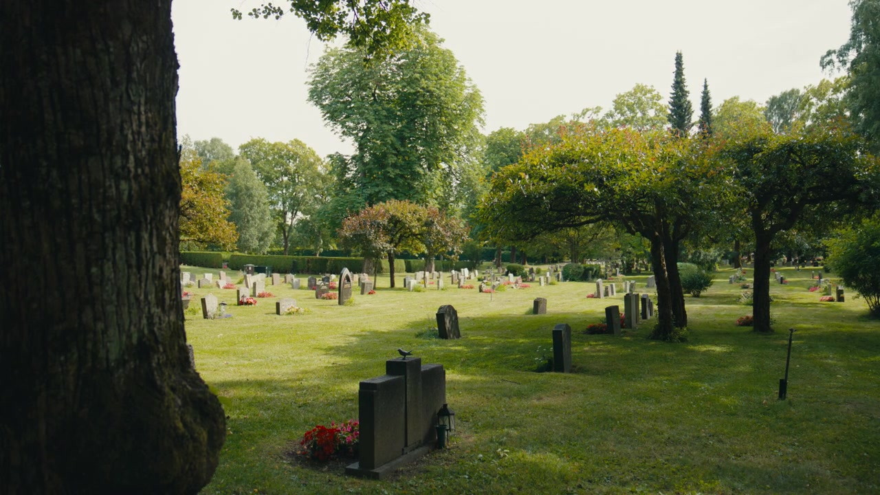 Un tranquillo cimitero a Oslo, Norvegia, è immerso in una soffusa luce estiva, con lapidi sparse sull'erba aperta sotto alberi accuratamente modellati e un'atmosfera calma e riflessiva