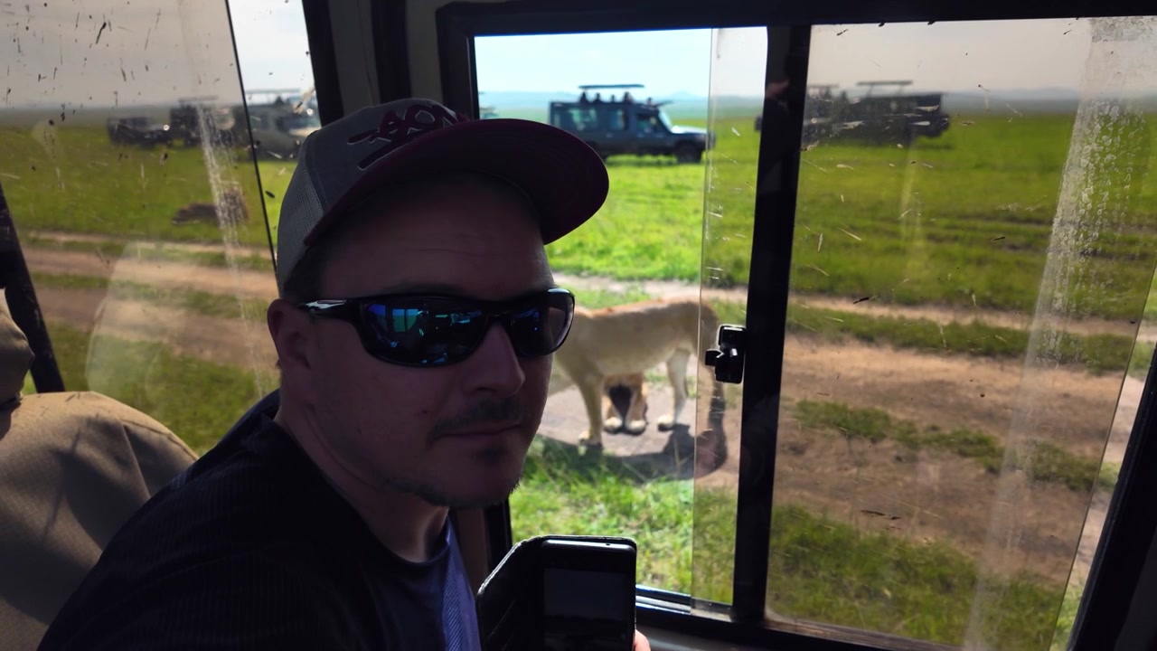 Close encounter, tourist observing wild lions, Masai Mara National Reserve