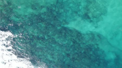 powerful waves washing coastline of guadeloupe, aerial top down view