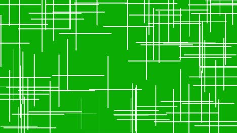 digital grid lines motion graphics with green screen background