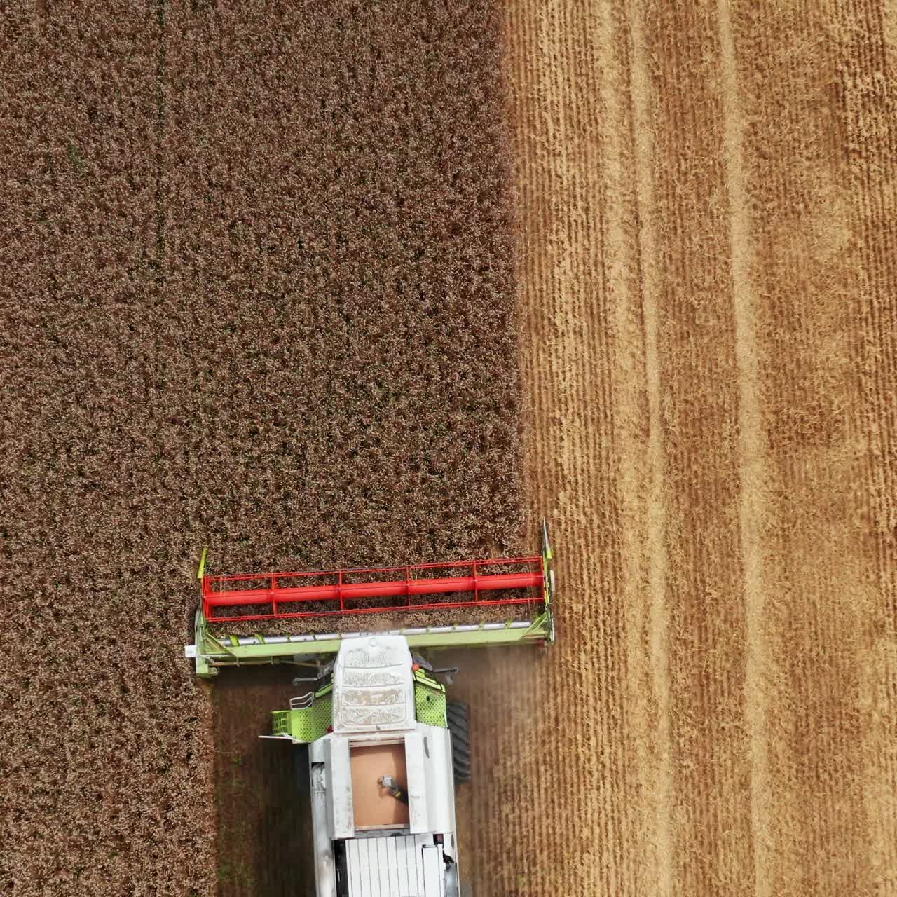 Modern combine goes by the field and cuts the ripe crops. Season of gathering bread harvest on sunny day. Birds eye view