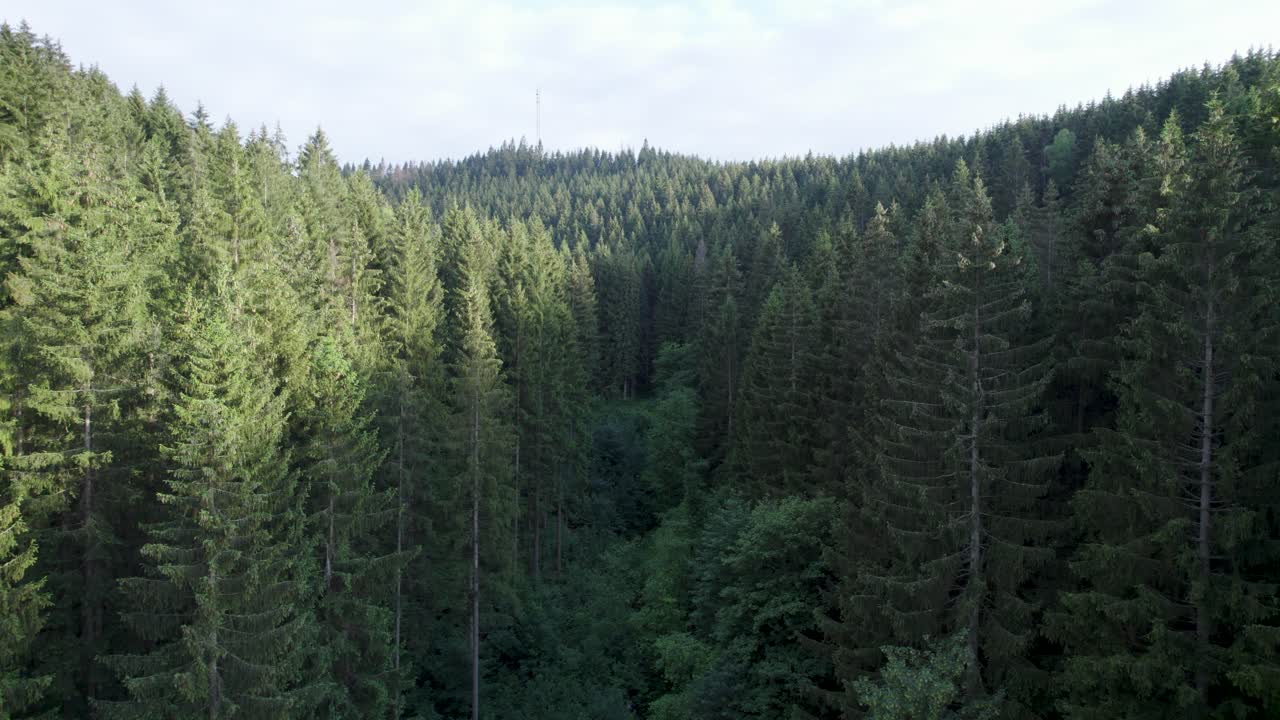 Volo con drone attraverso una splendida e tranquilla foresta tedesca sui monti Harz di giorno