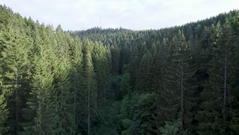 drone flight through beautiful and peaceful german forest in harz mountains at daytime