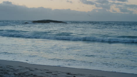 Vista-En-Cámara-Lenta-De-Las-Tranquilas-Olas-De-La-Playa-Salpicando-A-Un-Perro-Corriendo-En-La-Orilla-Arenosa,-Aves-Volando-En-El-Fondo-Del-Mar